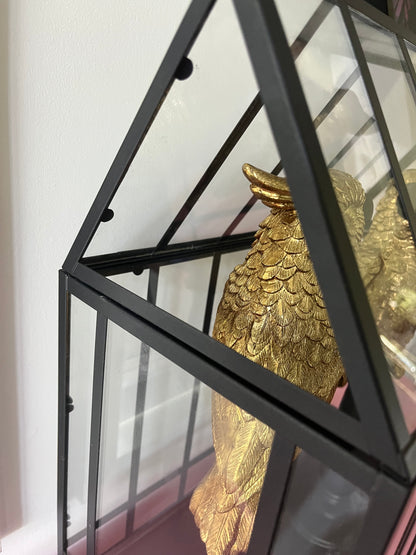 Gorgeous Pair of Gold Cockatoos in Glasshouse