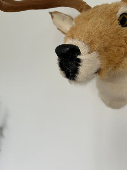 Cute Deer Head Wall Decor