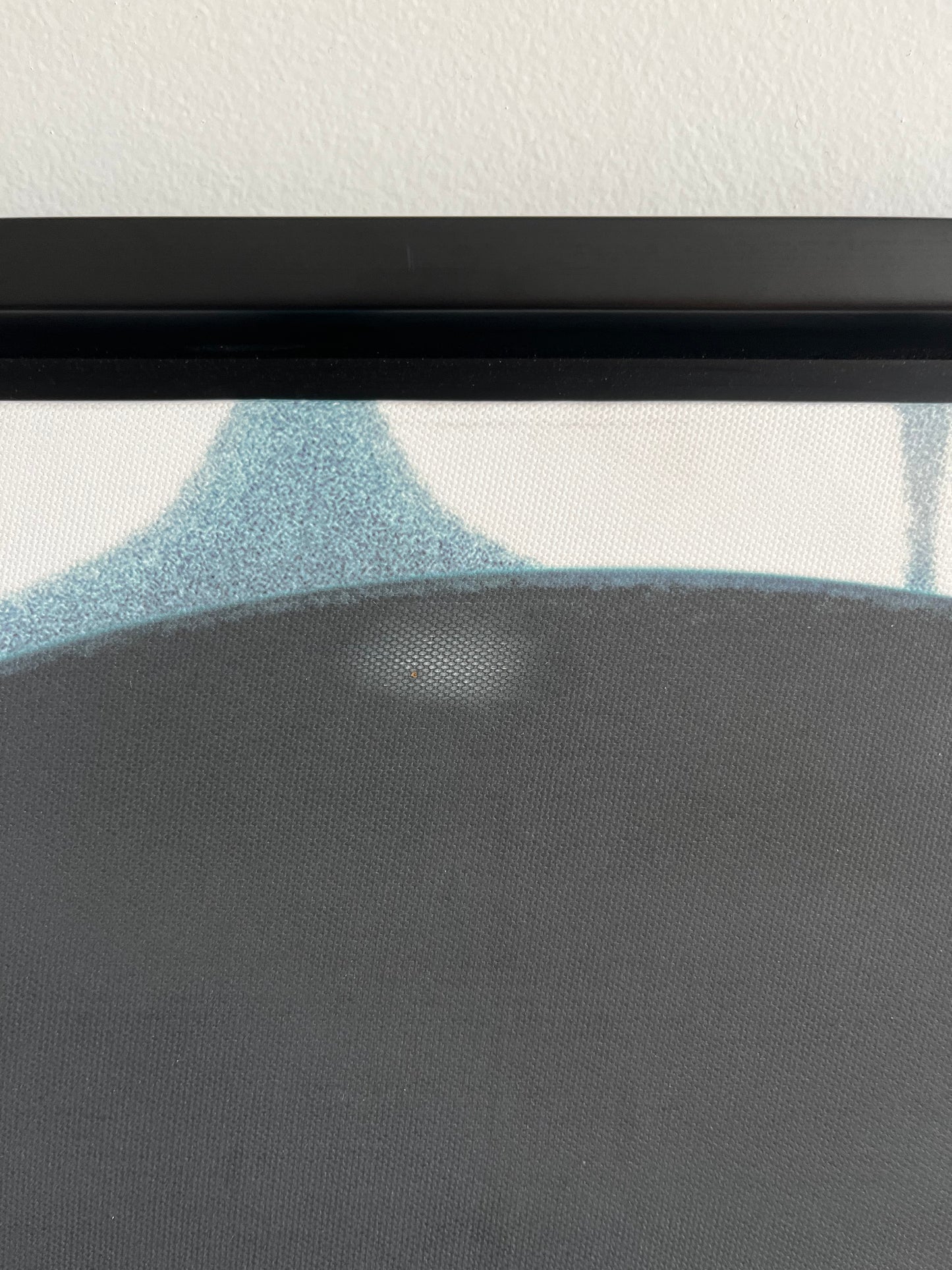 Miss Lolo Framed Canvas