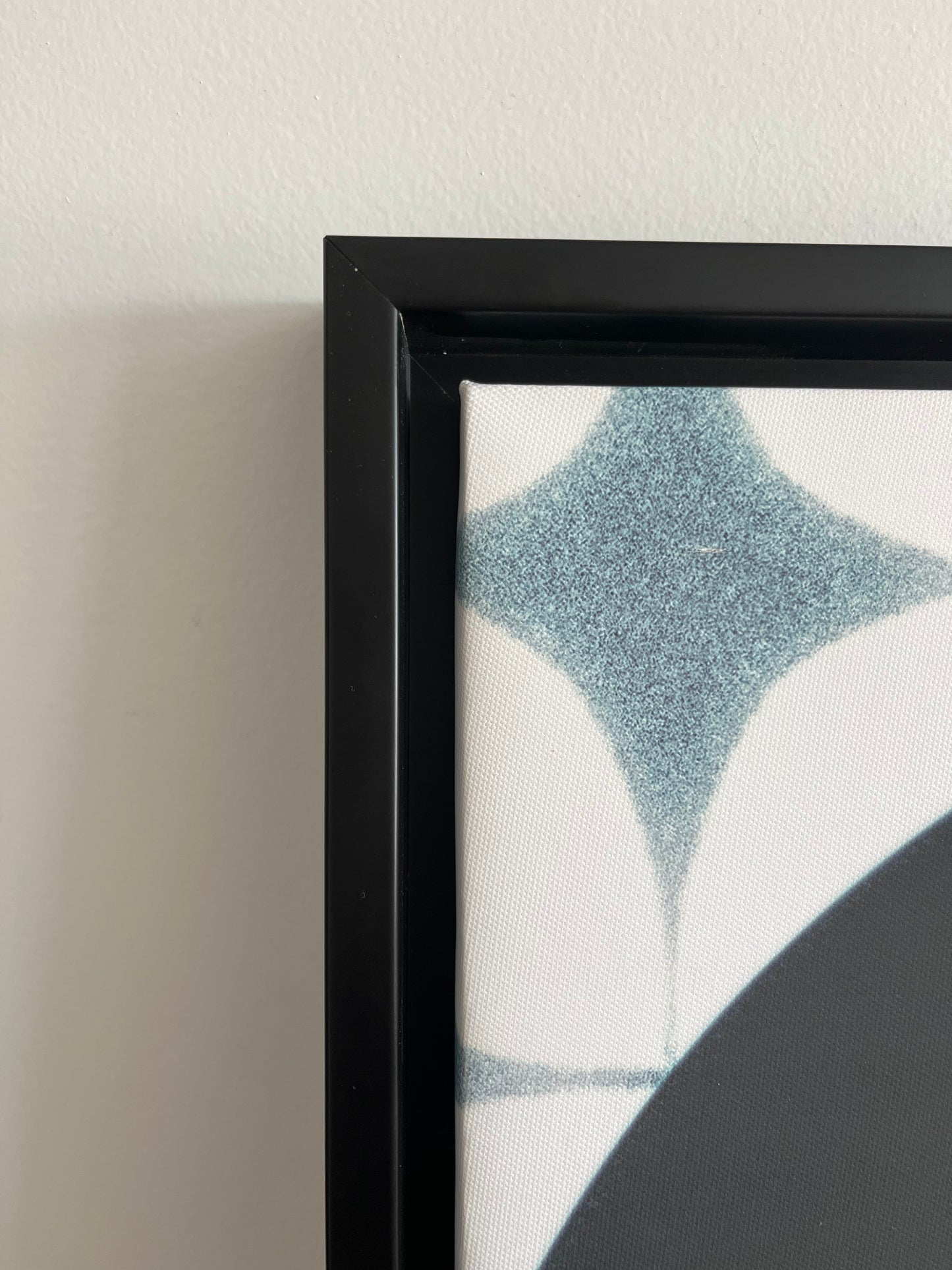 Miss Lolo Framed Canvas