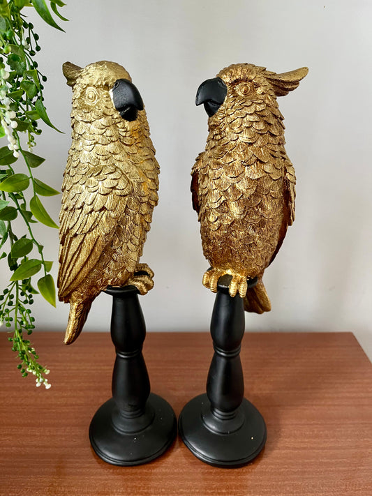Gorgeous Pair of Gold Cockatoos
