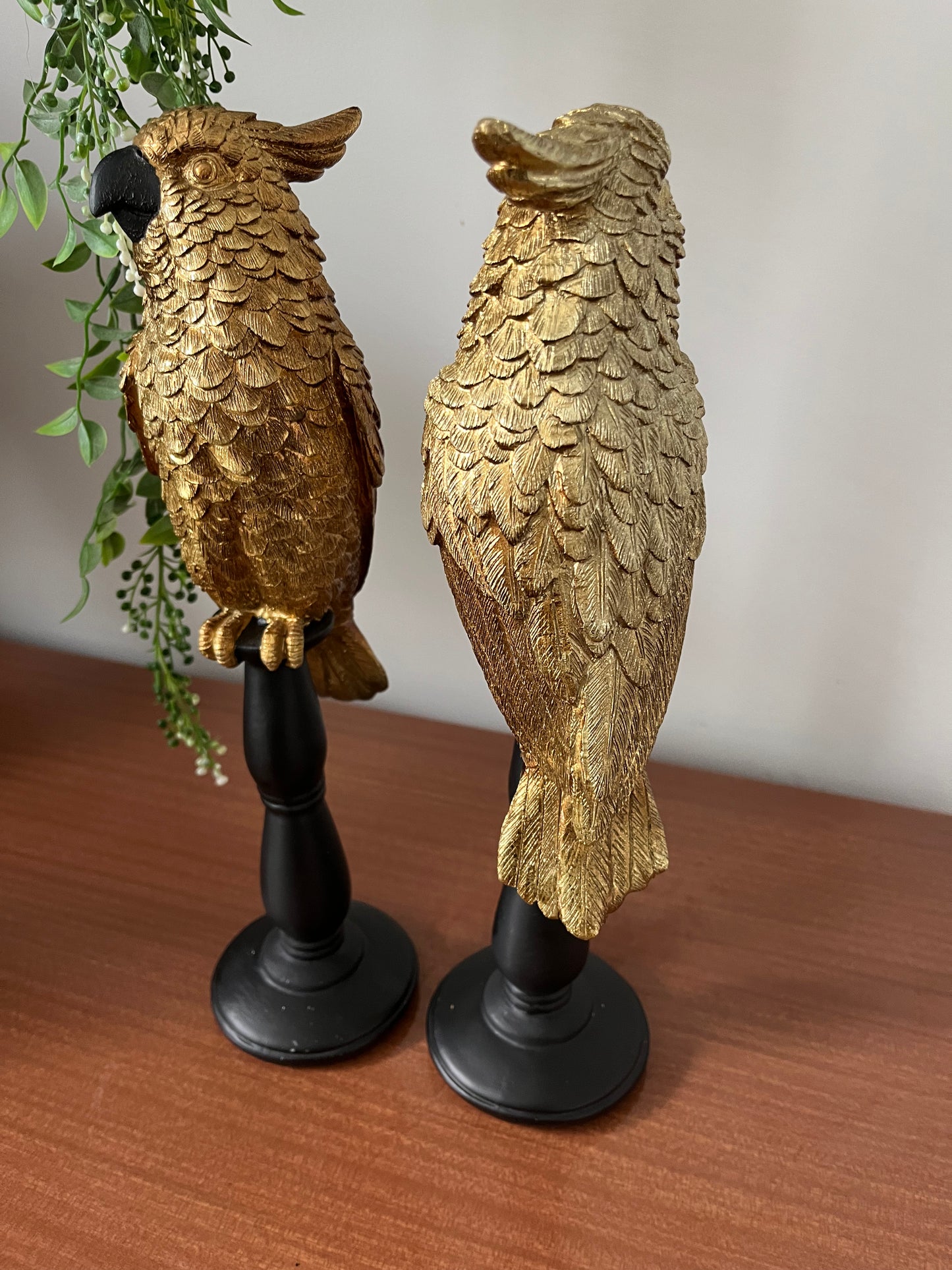 Gorgeous Pair of Gold Cockatoos