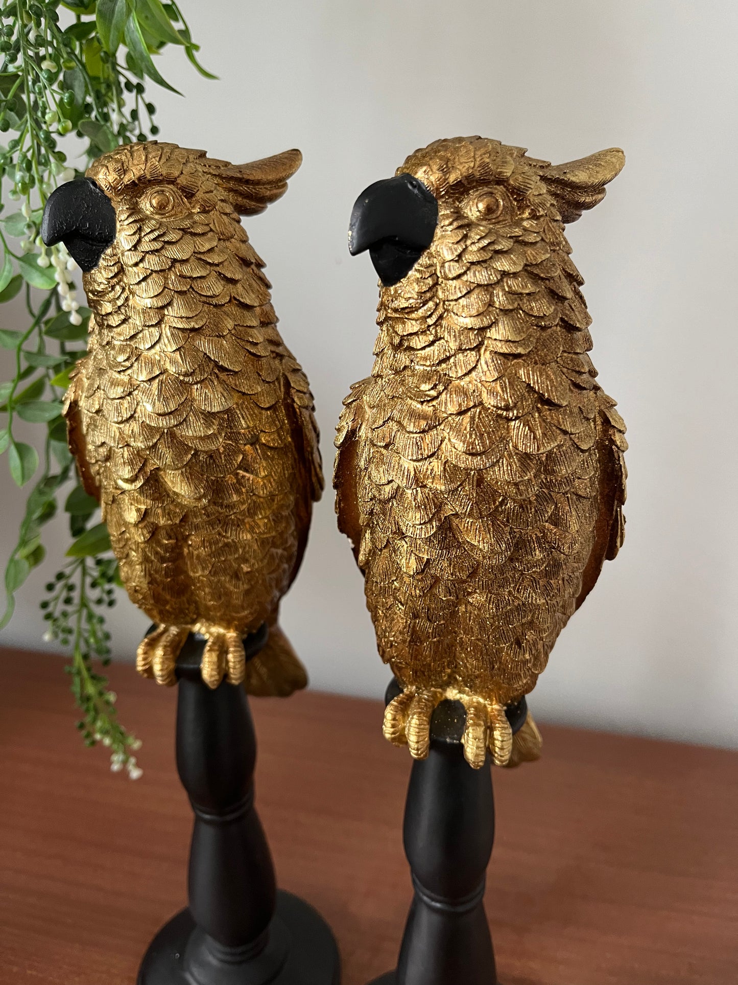 Gorgeous Pair of Gold Cockatoos