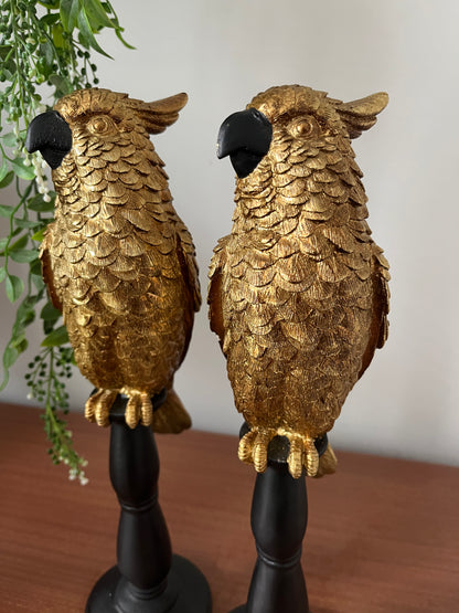 Gorgeous Pair of Gold Cockatoos