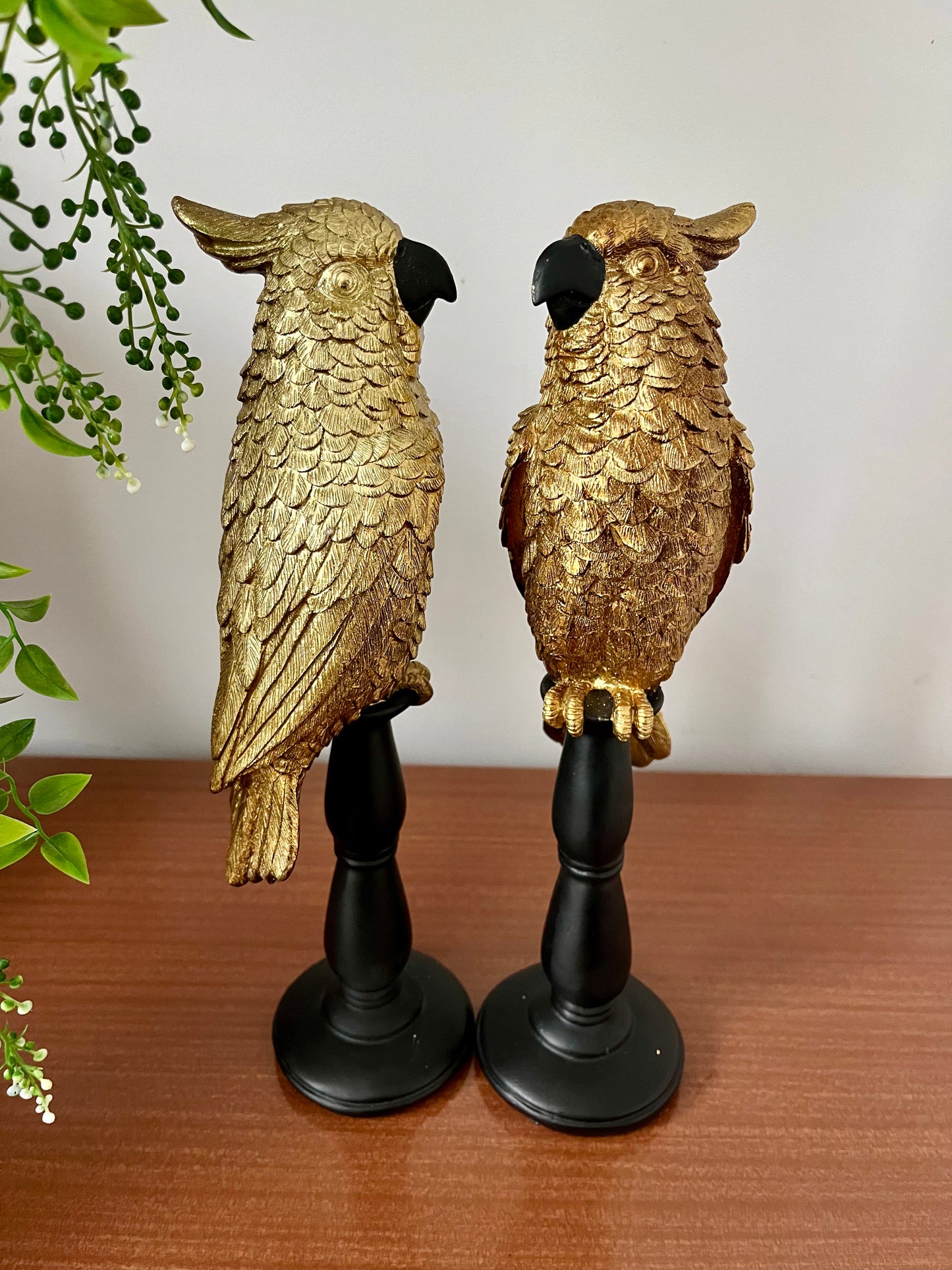 Gorgeous Pair of Gold Cockatoos