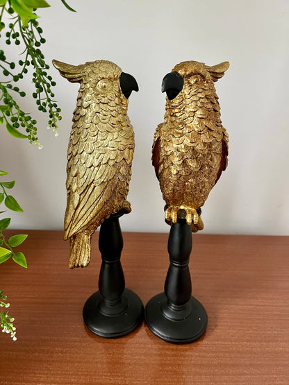 Gorgeous Pair of Gold Cockatoos