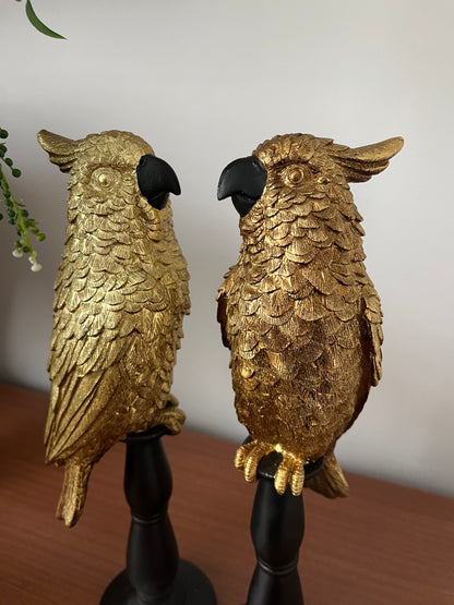 Gorgeous Pair of Gold Cockatoos