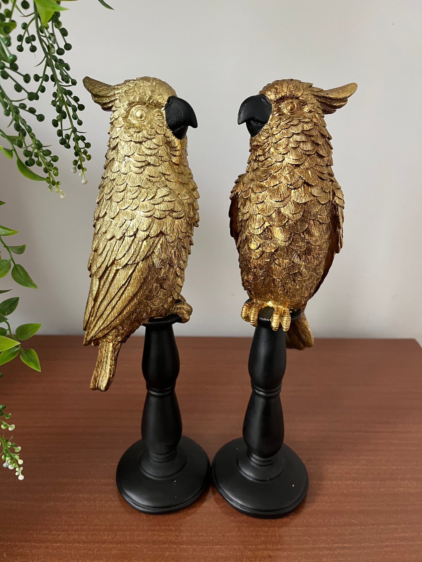 Gorgeous Pair of Gold Cockatoos