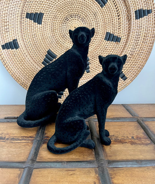 Beautiful pair of Black Cats