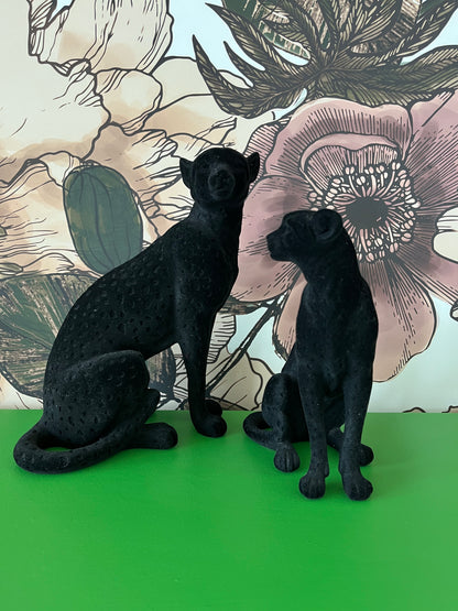 Beautiful pair of Black Cats