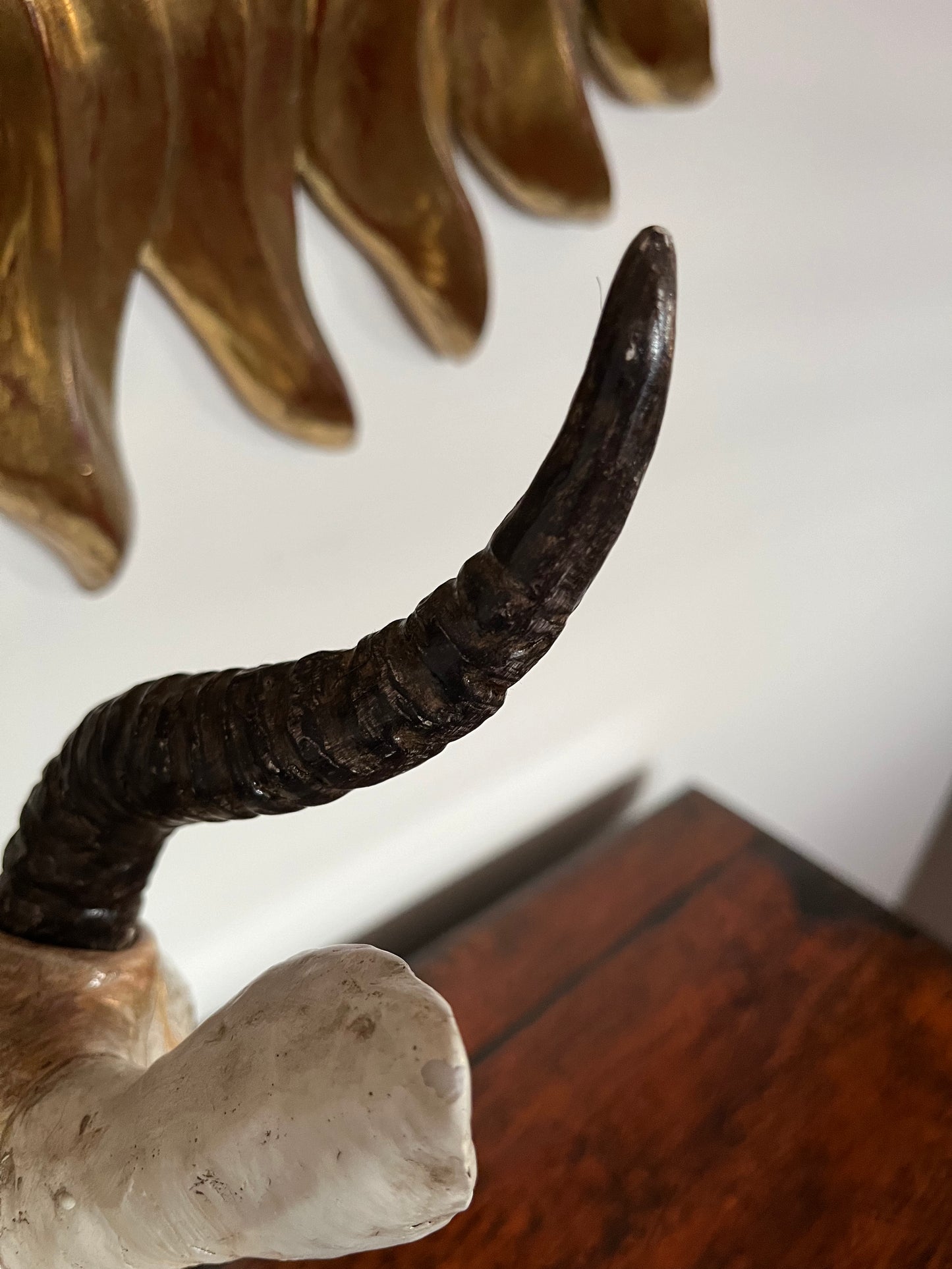 Funky Animal Vase
