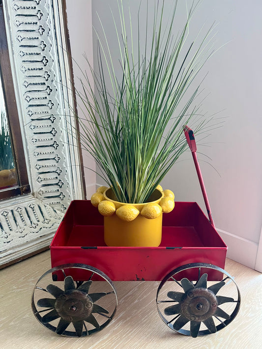 Rustic Red Decorative Metal Wagon