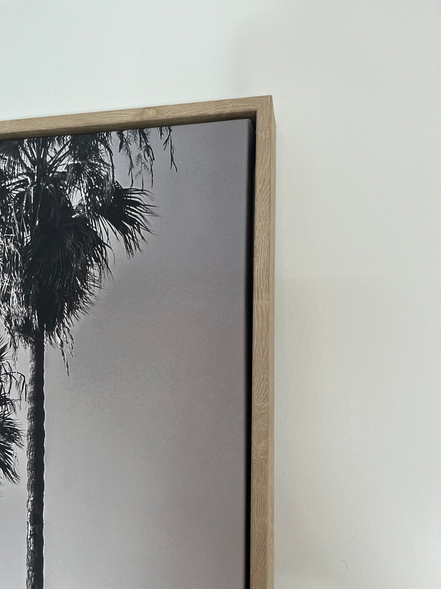 Framed Black and White Retro Print