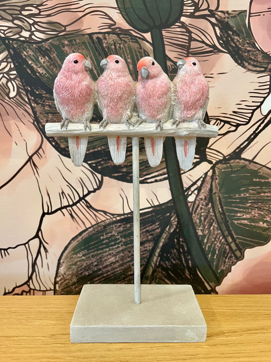 Major Mitchell Set of Four Lovebirds