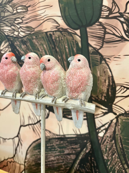 Major Mitchell Set of Four Lovebirds