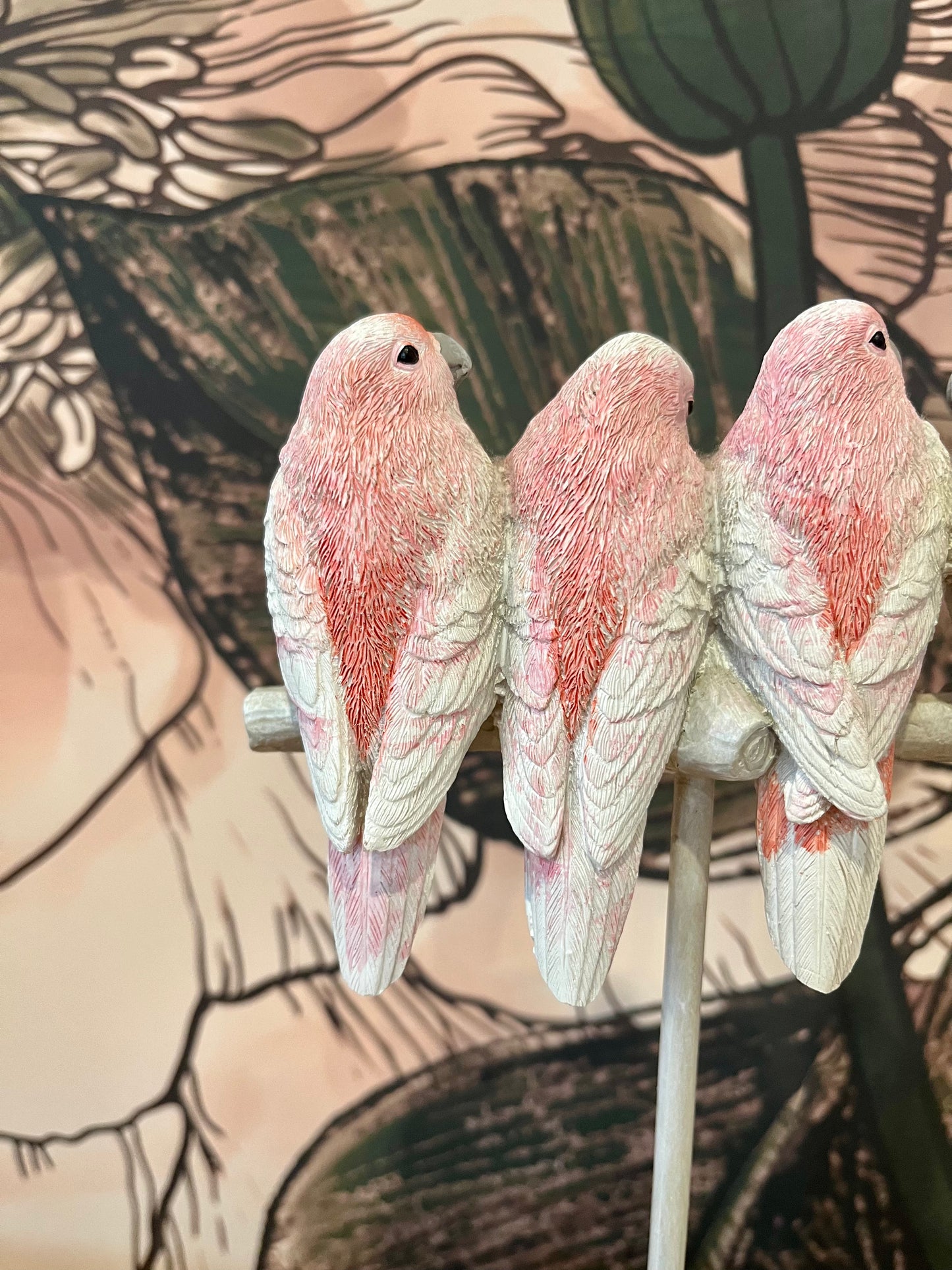 Major Mitchell Set of Four Lovebirds