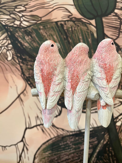 Major Mitchell Set of Four Lovebirds