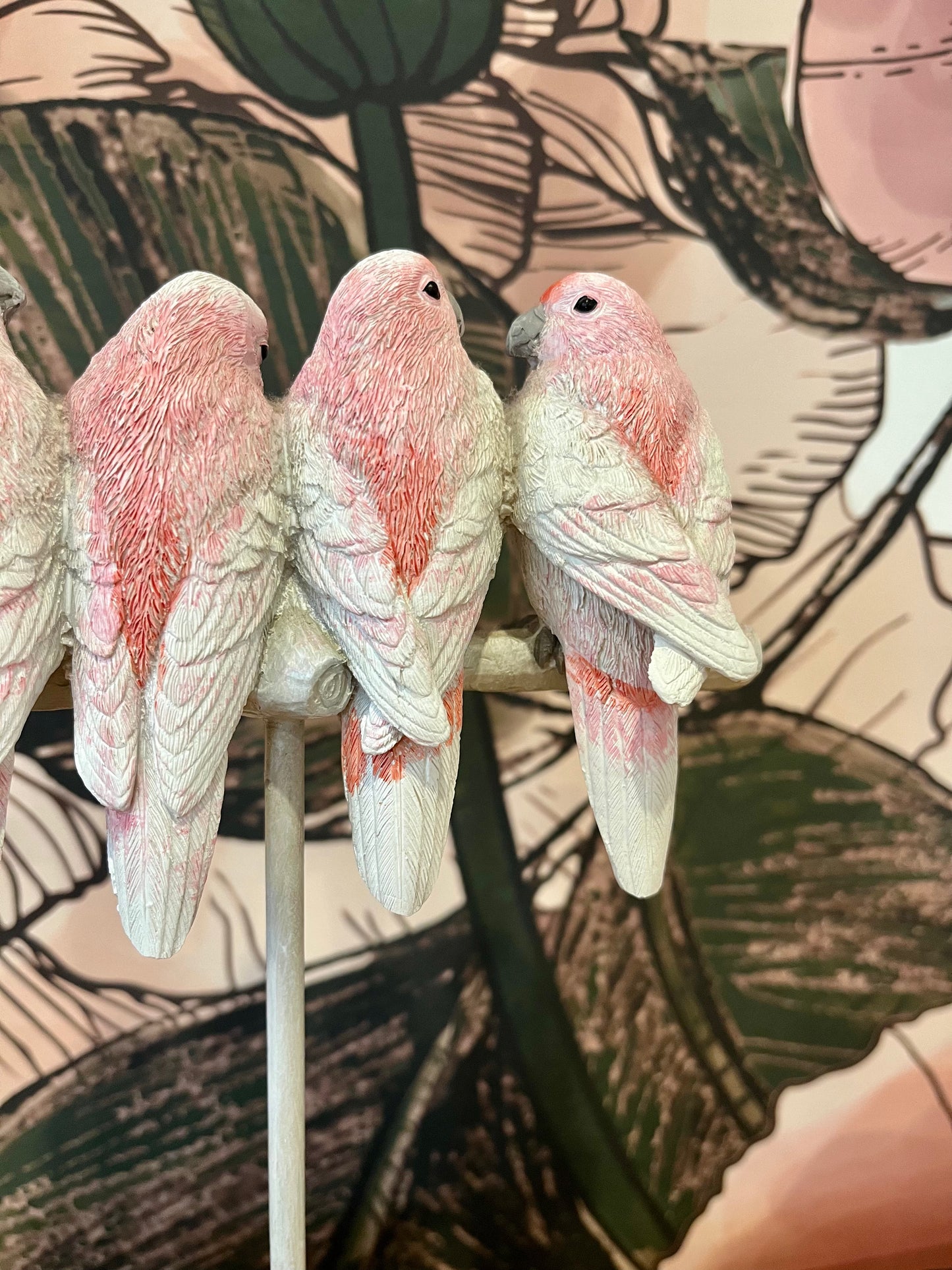 Major Mitchell Set of Four Lovebirds