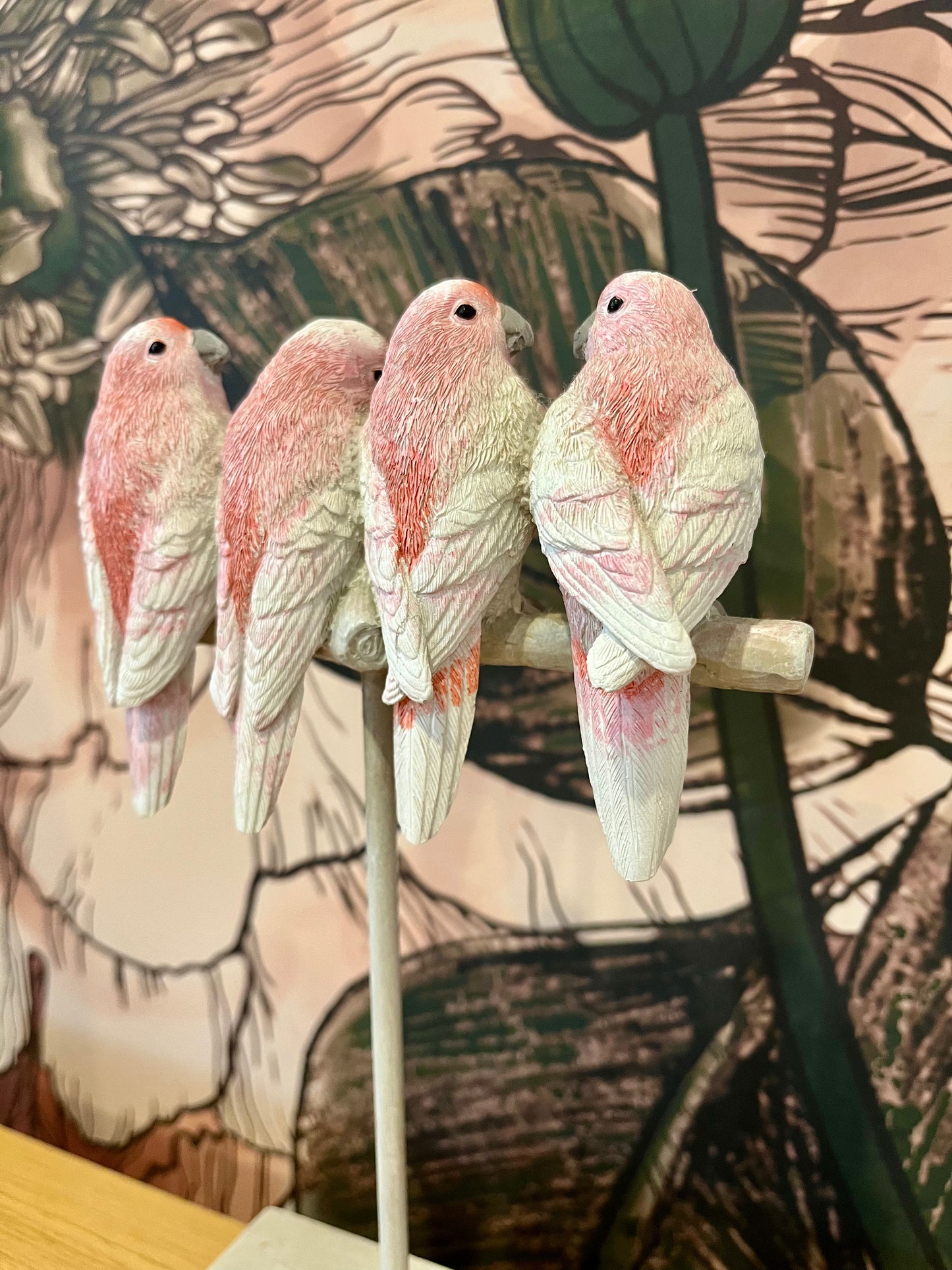 Major Mitchell Set of Four Lovebirds