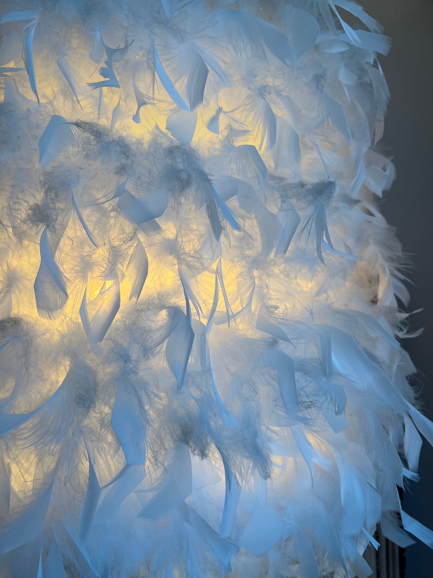 Elegant Feather Floor Lamp