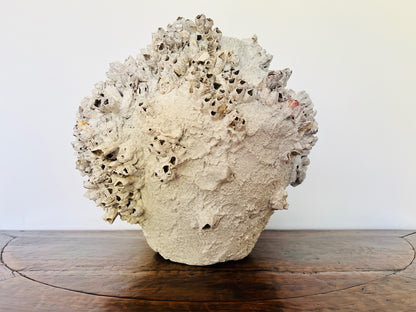 Round Barnacle Pot