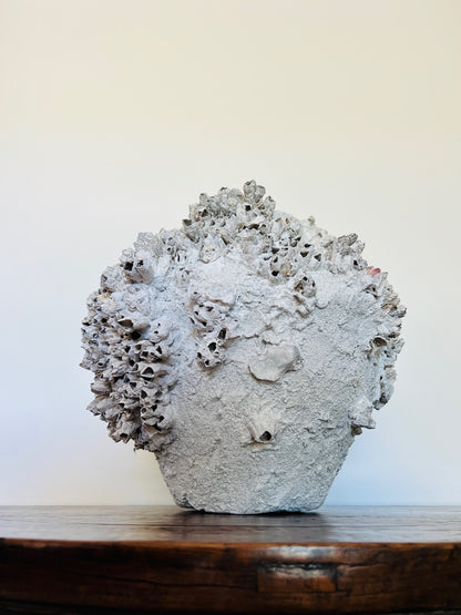 Round Barnacle Pot