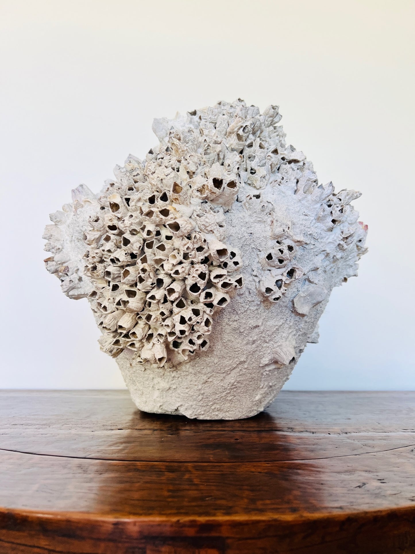Round Barnacle Pot