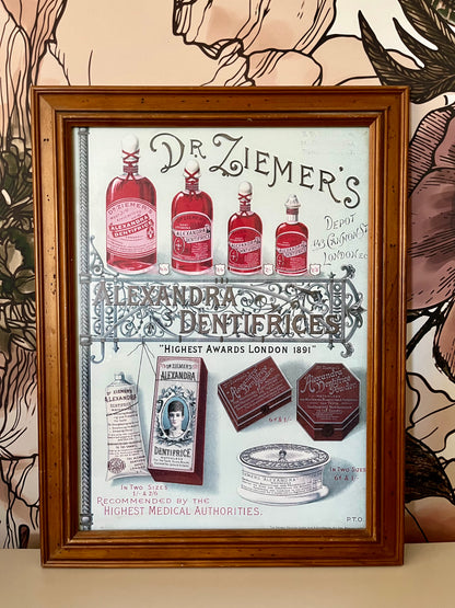 Framed Vintage Print