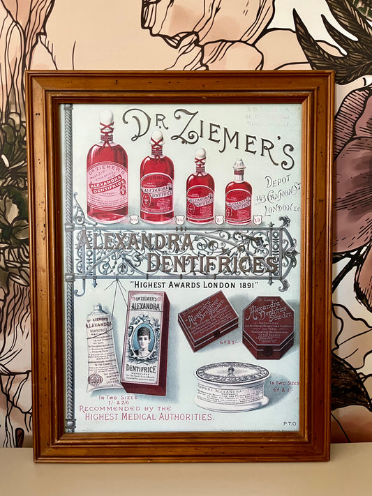 Framed Vintage Print