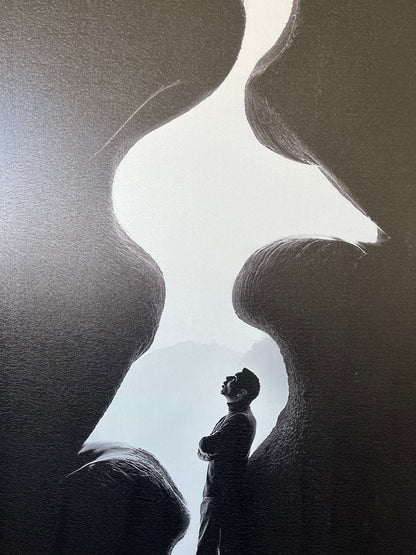 Striking Monochrome Artwork