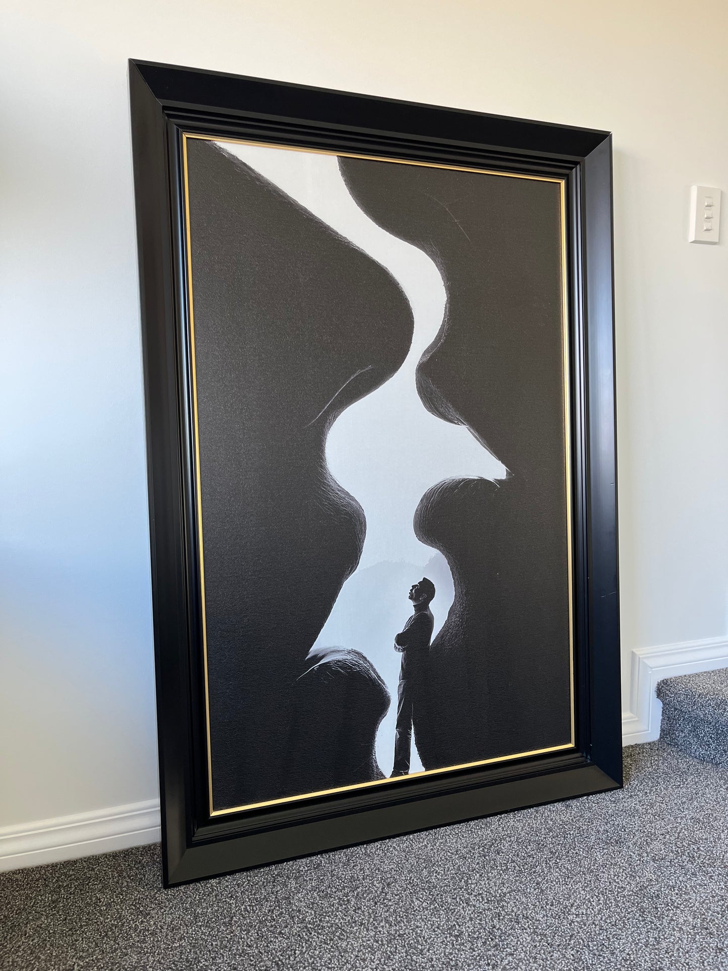 Striking Monochrome Artwork