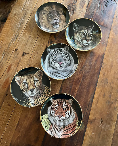 Limited Edition Royal Doulton Big Cat Plates x 5