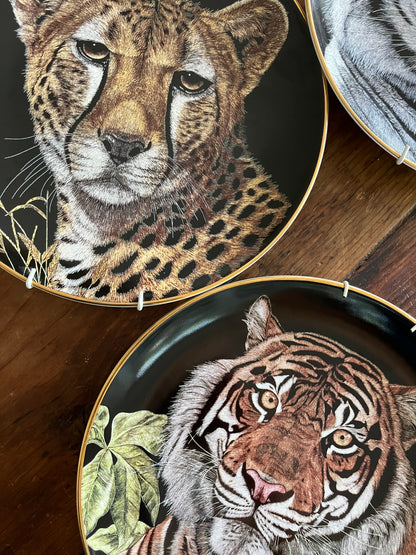 Limited Edition Royal Doulton Big Cat Plates x 5