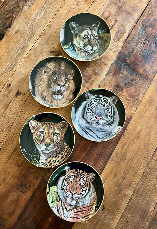 Limited Edition Royal Doulton Big Cat Plates x 5