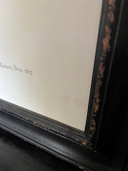 Beautiful Pair of Framed Bird Prints