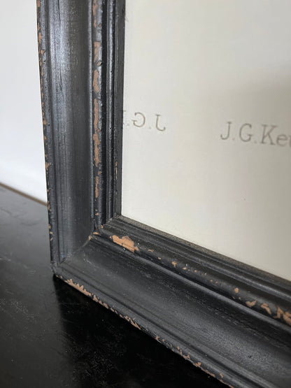 Beautiful Pair of Framed Bird Prints