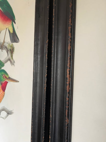 Beautiful Pair of Framed Bird Prints