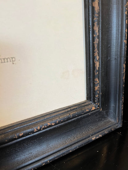 Beautiful Pair of Framed Bird Prints