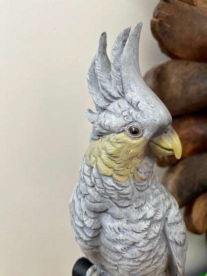 Large Grey Cockatoo Ornament on Stand